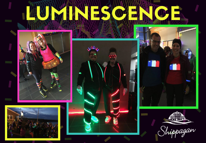 Montage-Luminesence